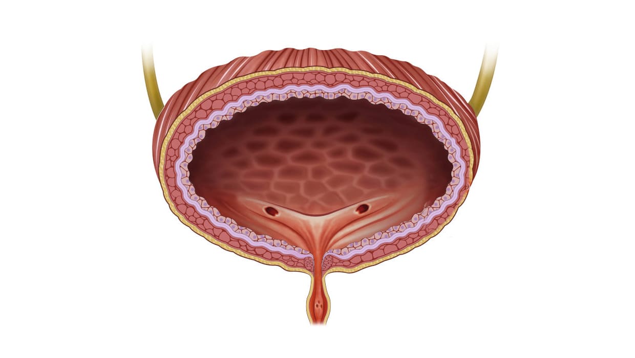 estudo-urodinamico-2.jpg